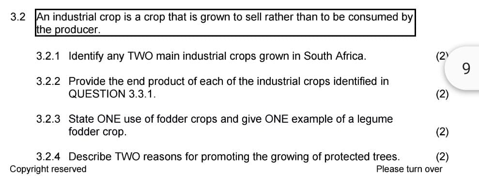 3.2 An industrial crop is a crop that is grown to sell rather than to be consumed by 
the producer. 
3.2.1 Identify any TWO main industrial crops grown in South Africa. (2) 
9 
3.2.2 Provide the end product of each of the industrial crops identified in 
QUESTION 3.3.1. (2) 
3.2.3 State ONE use of fodder crops and give ONE example of a legume 
fodder crop. (2) 
3.2.4 Describe TWO reasons for promoting the growing of protected trees. (2) 
Copyright reserved Please turn over