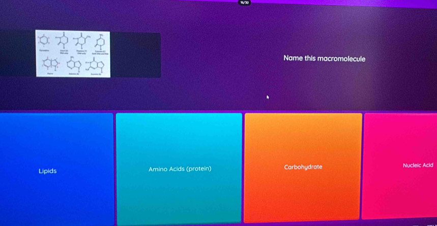 Name this macromolecule
Lipids Amino Acids (protein) Carbohydrate Nucleic Acid