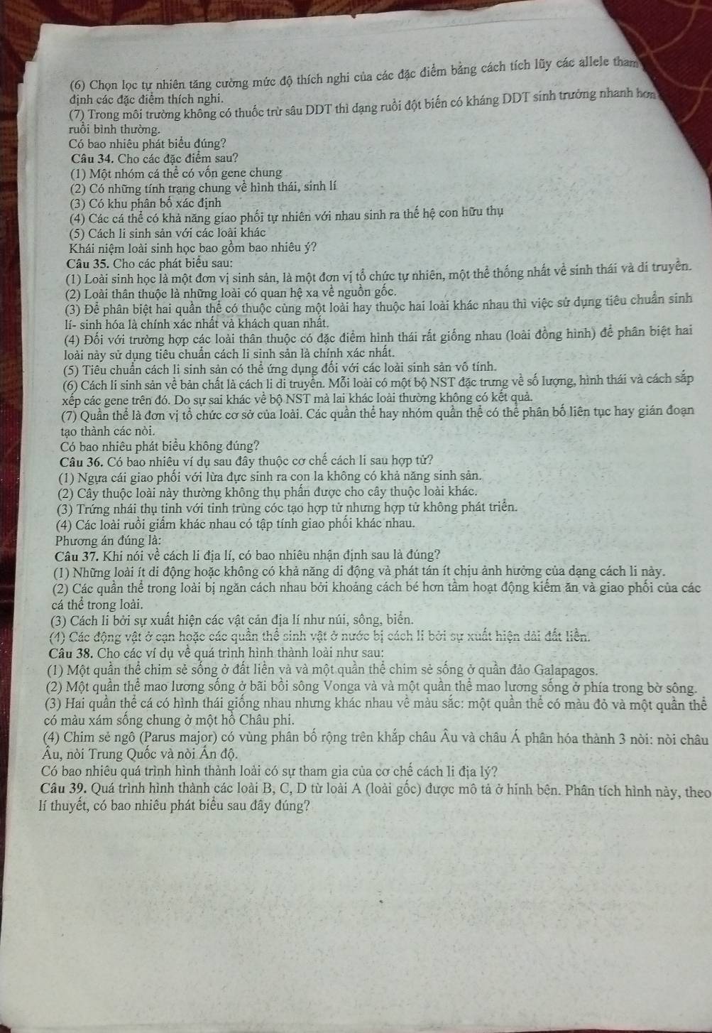 (6) Chọn lọc tự nhiên tăng cường mức độ thích nghi của các đặc điểm bảng cách tích lũy các allele tham
định các đặc điểm thích nghi.
(7) Trong môi trường không có thuốc trừ sâu DDT thì dạng ruồi đột biến có kháng DDT sinh trưởng nhanh hơn
ruồi bình thường.
Có bao nhiêu phát biểu đúng?
Câu 34. Cho các đặc điểm sau?
(1) Một nhóm cá thể có vốn gene chung
(2) Có những tính trạng chung về hình thái, sinh lí
(3) Có khu phân bố xác định
(4) Các cá thể có khả năng giao phối tự nhiên với nhau sinh ra thế hệ con hữu thụ
(5) Cách li sinh sản với các loài khác
Khái niệm loài sinh học bao gồm bao nhiêu ý?
Câu 35. Cho các phát biểu sau:
(1) Loài sinh học là một đơn vị sinh sản, là một đơn vị tổ chức tự nhiên, một thể thống nhất về sinh thái và di truyền.
(2) Loài thân thuộc là những loài có quan hệ xa về nguồn gốc.
(3) Để phân biệt hai quần thể có thuộc cùng một loài hay thuộc hai loài khác nhau thì việc sử dụng tiêu chuẩn sinh
lí- sinh hóa là chính xác nhất và khách quan nhất.
(4) Đối với trường hợp các loài thân thuộc có đặc điểm hình thái rất giống nhau (loài đồng hình) để phân biệt hai
loài này sử dụng tiêu chuẩn cách li sinh sản là chính xác nhất.
(5) Tiêu chuẩn cách li sinh sản có thể ứng dụng đối với các loài sinh sản vô tính.
(6) Cách li sinh sản về bản chất là cách li di truyền. Mỗi loài có một bộ NST đặc trưng về số lượng, hình thái và cách sắp
xếp các gene trên đó. Do sự sai khác về bộ NST mà lai khác loài thường không có kết quả
(7) Quần thể là đơn vị tổ chức cơ sở của loài. Các quần thể hay nhóm quần thể có thể phân bố liên tục hay gián đoạn
tạo thành các nòi.
Có bao nhiêu phát biểu không đúng?
Câu 36. Có bảo nhiêu ví dụ sau đây thuộc cơ chế cách li sau hợp tử?
(1) Ngựa cái giao phối với lừa đực sinh ra con la không có khả năng sinh sản.
(2) Cây thuộc loài này thường không thụ phần được cho cây thuộc loài khác.
(3) Trứng nhái thụ tinh với tinh trùng cóc tạo hợp tử nhưng hợp tử không phát triển.
(4) Các loài ruồi giấm khác nhau có tập tính giao phối khác nhau.
Phương án đúng là:
Câu 37. Khi nói về cách li địa lí, có bao nhiêu nhận định sau là đúng?
(1) Những loài ít di động hoặc không có khả năng di động và phát tán ít chịu ảnh hưởng của dạng cách li này.
(2) Các quần thể trong loài bị ngăn cách nhau bởi khoảng cách bé hơn tầm hoạt động kiểm ăn và giao phối của các
cá thể trong loài.
(3) Cách li bởi sự xuất hiện các vật cản địa lí như núi, sông, biển.
(1) Các động vật ở cạn hoặc các quần thể sinh vật ở nước bị cách li bởi sự xuất hiện dài đất liền.
Câu 38. Cho các ví dụ về quá trình hình thành loài như sau:
(1) Một quần thể chim sẻ sống ở đất liền và và một quần thể chim sẻ sống ở quần đảo Galapagos.
(2) Một quần thể mao lương sống ở bãi bồi sông Vonga và và một quần thể mao lương sống ở phía trong bờ sông.
(3) Hai quần thể cá có hình thái giồng nhau nhưng khác nhau về màu sắc: một quần thể có màu đỏ và một quần thể
có màu xám sống chung ở một hồ Châu phi.
(4) Chim sẻ ngô (Parus major) có vùng phân bố rộng trên khắp châu Âu và châu Á phân hóa thành 3 nòi: nòi châu
Ấu, nòi Trung Quốc và nòi Ấn độ.
Có bao nhiêu quá trình hình thành loài có sự tham gia của cơ chế cách li địa lý?
Câu 39. Quá trình hình thành các loài B, C, D từ loài A (loài gốc) được mô tả ở hính bên. Phân tích hình này, theo
lí thuyết, có bao nhiêu phát biểu sau đây đúng?