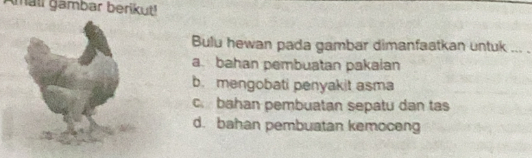 Amail gambar berikut!
Bulu hewan pada gambar dimanfaatkan untuk_
abahan pembuatan pakaian
b. mengobati penyakit asma
c bahan pembuatan sepatu dan tas
d. bahan pembuatan kemoceng