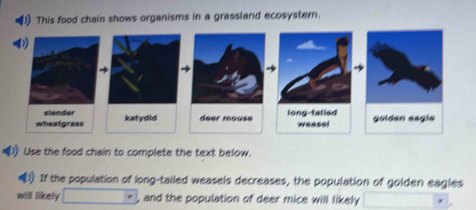 This food chain shows organisms in a grassland ecosystern. 
Use the food chain to complete the text below. 
If the population of long-tailed weasels decreases, the population of golden eagles 
will likely , and the population of deer mice will likely