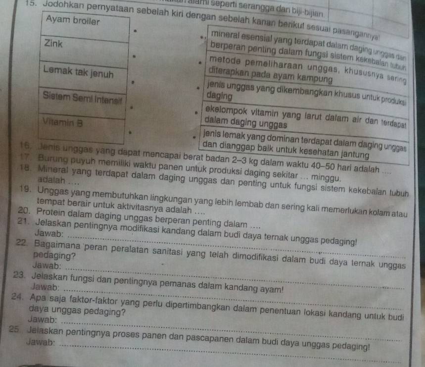 un alamí seperti serangga dan biji-bijian . 
15. Jodohkan pernyasebelah kiri dengan sebela 



16pat mencapai0 hari adalah .... 
17. Burung puyuh memiliki waktu panen untuk produksi daging sekitar ... minggu. 
18. Mineral yang terdapat dalam daging unggas dan penting untuk fungsi sistem kekebalan tubuh 
adalah .... 
19. Unggas yang membutuhkan lingkungan yang lebih lembab dan sering kali memerlukan kolam atau 
tempat berair untuk aktivitasnya adalah .... 
20. Protein dalam daging unggas berperan penting dalam .... 
_ 
21. Jelaskan pentingnya modifikasi kandang dalam budi daya ternak unggas pedaging! 
Jawab: 
22. Bagaimana peran peralatan sanitasi yang telah dimodifikasi dalam budi daya ternak unggas 
pedaging? 
Jawab:_ 
_ 
23. Jelaskan fungsi dan pentingnya pemanas dalam kandang ayam! 
Jawab: 
24. Apa saja faktor-faktor yang perlu dipertimbangkan dalam penentuan lokasi kandang untuk budi 
daya unggas pedaging? 
Jawab:_ 
25. Jelaskan pentingnya proses panen dan pascapanen dalam budi daya unggas pedaging! 
Jawab:_