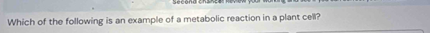 Second chance! Review your 
Which of the following is an example of a metabolic reaction in a plant cell?