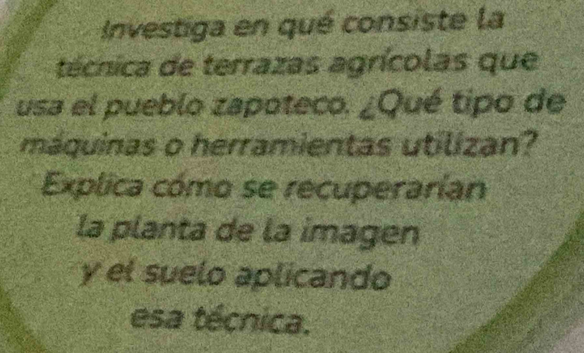 Investiga en qué consiste la 
técnica de terrazas agrícolas que 
usa el pueblo zapoteco. ¿Qué tipo de 
máquinas o herramientas utilizan? 
Explica cómo se recuperarían 
la planta de la imagen 
y el suelo aplicando 
esa técnica.