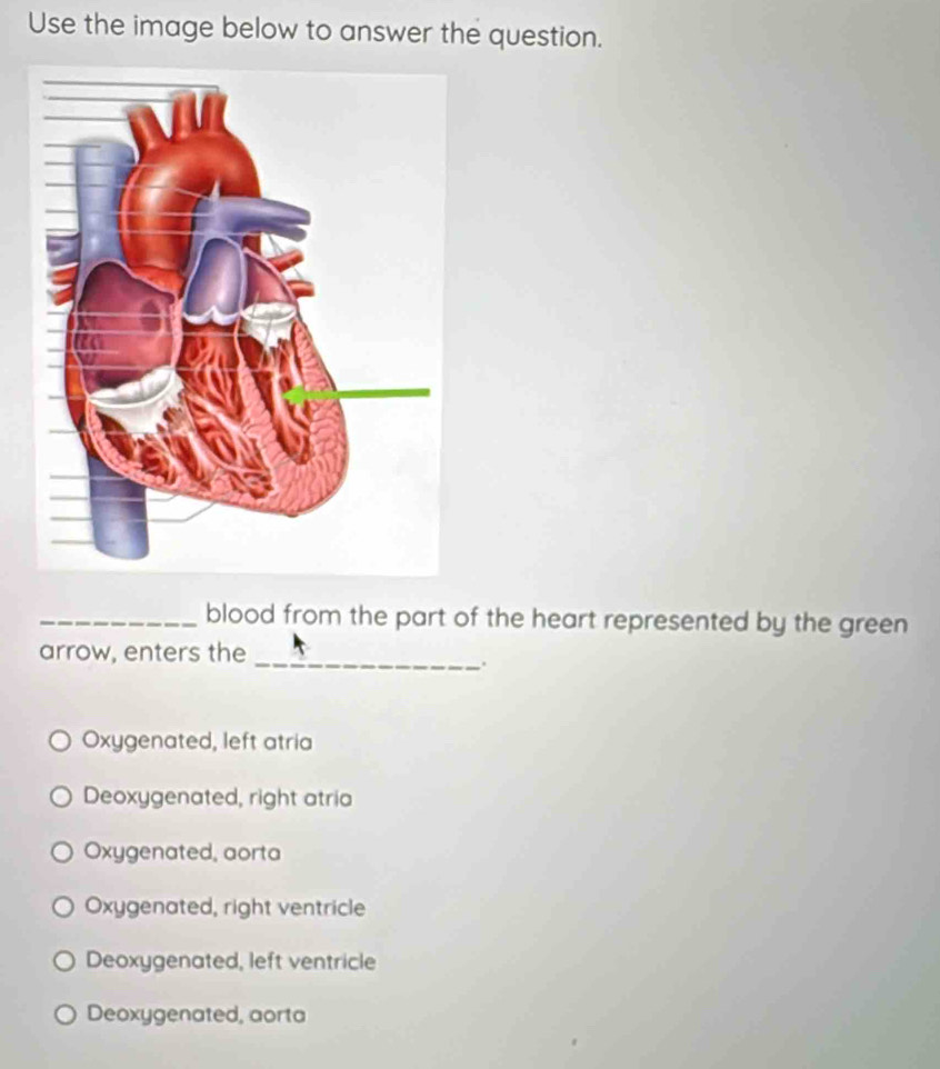 Use the image below to answer the question.
_blood from the part of the heart represented by the green
arrow, enters the_
Oxygenated, left atria
Deoxygenated, right atria
Oxygenated, aorta
Oxygenated, right ventricle
Deoxygenated, left ventricle
Deoxygenated, aorta