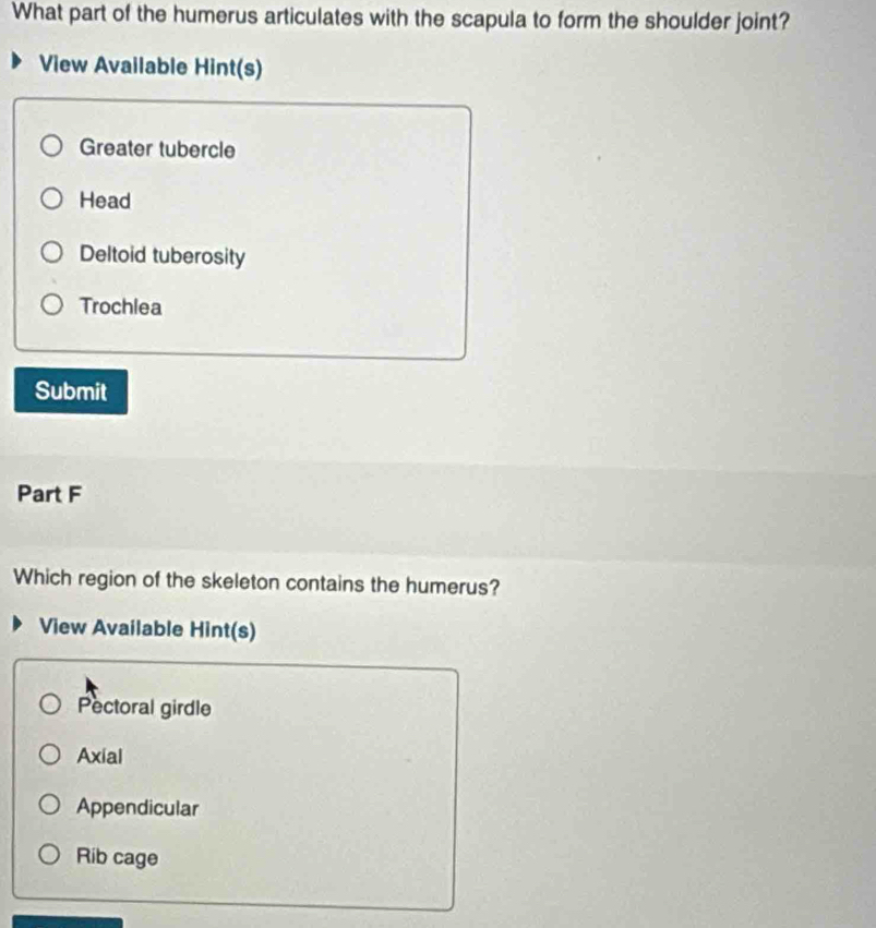 What part of the humerus articulates with the scapula to form the shoulder joint?
View Available Hint(s)
Greater tubercle
Head
Deltoid tuberosity
Trochlea
Submit
Part F
Which region of the skeleton contains the humerus?
View Available Hint(s)
Pectoral girdle
Axial
Appendicular
Rib cage
