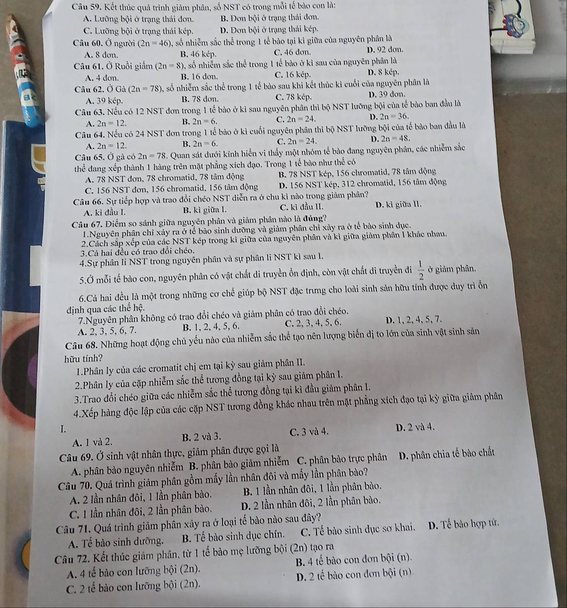 Kết thúc quá trình giảm phân, số NST có trong mỗi tế bào con là:
A. Lưỡng bội ở trạng thái đơn. B. Đơn bội ở trạng thái đơn.
C. Lưỡng bội ở trạng thái kép. D. Đơn bội ở trạng thái kép.
Câu 60. Ở người (2n=46) , số nhiễm sắc thể trong 1 tế bào tại kì giữa của nguyên phân là
A. 8 dơn. B. 46 kép. C. 46 dơn. D. 92 dơn.
Câu 61. Ở Ruồi giầm (2n=8) 0, số nhiễm sắc thể trong 1 tế bào ở kì sau của nguyên phân là
A. 4 dơn. B. 16 dơn. C. 16 kép.
D. 8 kép.
Câu 62. Ở Gà (2n=78) 0, số nhiễm sắc thể trong 1 tế bào sau khi kết thúc kì cuối của nguyên phân là
A. 39 kép. B. 78 dơn. C. 78 kép. D. 39 dơn.
Câu 63. Nếu có 12 NST đơn trong 1 tế bào ở kì sau nguyên phân thì bộ NST lưỡng bội của tế bào ban đầu là
A. 2n=12.
B. 2n=6. C. 2n=24. D. 2n=36.
Câu 64. Nếu có 24 NST đơn trong 1 tế bào ở kì cuối nguyên phân thì bộ NST lưỡng bội của tế bào ban đầu là
A. 2n=12.
B. 2n=6.
C. 2n=24. D. 2n=48.
Câu 65. Ở gà có 2n=78. Quan sát dưới kính hiển vi thấy một nhóm tế bào đang nguyên phân, các nhiễm sắc
thể đang xếp thành 1 hàng trên mặt phẳng xích đạo. Trong 1 tế bào như thế có
A. 78 NST đơn, 78 chromatid, 78 tâm động B. 78 NST kép, 156 chromatid, 78 tâm động
C. 156 NST đơn, 156 chromatid, 156 tâm động  D. 156 NST kép, 312 chromatid, 156 tâm động
Câu 66. Sự tiếp hợp và trao đổi chéo NST diễn ra ở chu kì nào trong giảm phân?
A. kì đầu I. B. kì giữa l. C. kỉ đầu II. D. kì giữa II.
Câu 67. Điểm so sánh giữa nguyên phân và giảm phân nào là đủng?
1.Nguyên phân chỉ xảy ra ở tế bào sinh dưỡng và giảm phân chỉ xảy ra ở tế bào sinh dục.
2.Cách sắp xếp của các NST kép trong kì giữa của nguyên phân và kì giữa giảm phân 1 khác nhau,
3.Cả hai đều có trao đổi chéo.
4.Sự phân li NST trong nguyên phân và sự phân li NST kì sau l1.
5.Ở mỗi tế bào con, nguyên phân có vật chất di truyền ổn định, còn vật chất di truyền đi  1/2  ở giảm phân.
6.Cả hai đều là một trong những cơ chế giúp bộ NST đặc trưng cho loài sinh sản hữu tính được duy trì ồn
định qua các thể hệ.
7.Nguyên phân không có trao đổi chéo và giảm phân có trao đổi chéo.
A. 2, 3, 5, 6, 7. B. 1,2, 4, 5, 6. C. 2, 3, 4, 5, 6. D. 1, 2, 4, 5, 7.
Câu 68. Những hoạt động chủ yếu nào của nhiễm sắc thể tạo nên lượng biến dị to lớn của sinh vật sinh sản
hữu tính?
1.Phân ly của các cromatit chị em tại kỳ sau giảm phân II.
2.Phân ly của cặp nhiễm sắc thể tương đồng tại kỳ sau giảm phân I.
3.Trao đổi chéo giữa các nhiễm sắc thể tương đồng tại kì đầu giảm phân I.
4.Xếp hàng độc lập của các cặp NST tương đồng khác nhau trên mặt phẳng xích đạo tại kỳ giữa giảm phân
I. D. 2 và 4.
A. 1 và 2. B. 2 và 3. C. 3 và 4.
Câu 69. Ở sinh vật nhân thực, giảm phân được gọi là
A. phân bào nguyên nhiễm B. phân bào giảm nhiễm C. phân bào trực phân D. phân chia tế bào chất
Câu 70. Quá trình giảm phân gồm mấy lần nhân đôi và mấy lần phân bào?
A. 2 lần nhân đôi, 1 lần phân bào.  B. 1 lần nhân đôi, 1 lần phân bào.
C. 1 lần nhân đôi, 2 lần phân bào. D. 2 lần nhân đôi, 2 lần phân bào.
Câu 71. Quá trình giảm phân xảy ra ở loại tế bào nào sau đây?
A. Tế bào sinh dưỡng. B. Tế bào sinh dục chín. C. Tế bào sinh dục sơ khai. D. Tế bào hợp tử.
Câu 72. Kết thúc giảm phân, từ 1 tế bào mẹ lưỡng bội (2n) tạo ra
A. 4 tế bào con lưỡng bội (2n). B. 4 tế bào con đơn bội (n).
C. 2 tế bào con lưỡng bội (2n).  D. 2 ế bào con đơn bội (n).