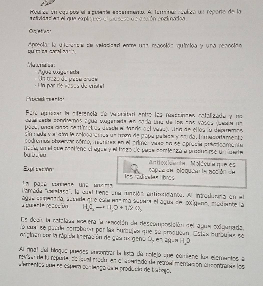 Realiza en equipos el siguiente experimento. Al terminar realiza un reporte de la
actividad en el que expliques el proceso de acción enzimática.
Objetivo:
Apreciar la diferencia de velocidad entre una reacción química y una reacción
química catalizada.
Materiales:
- Agua oxigenada
- Un trozo de papa cruda
- Un par de vasos de cristal
Procedimiento:
Para apreciar la diferencia de velocidad entre las reacciones catalizada y no
catalizada pondremos agua oxigenada en cada uno de los dos vasos (basta un
poco, unos cinco centímetros desde el fondo del vaso). Uno de ellos lo dejaremos
sin nada y al otro le colocaremos un trozo de papa pelada y cruda. Inmediatamente
podremos observar cómo, mientras en el primer vaso no se aprecia prácticamente
nada, en el que contiene el agua y el trozo de papa comienza a producirse un fuerte
burbujeo.
Antioxidante. Molécula que es
Explicación: capaz de bloquear la acción de
los radicales libres
La papa contiene una enzima
llamada “catalasa”, la cual tiene una función antioxidante. Al introducirla en el
agua oxigenada, sucede que esta enzima separa el agua del oxígeno, mediante la
siguiente reacción. H_2O_2to H_2O+1/2O_2
Es decir, la catalasa acelera la reacción de descomposición del agua oxigenada,
lo cual se puede corroborar por las burbujas que se producen. Estas burbujas se
originan por la rápida liberación de gas oxígeno O_2 en agua H_2O.
Al final del bloque puedes encontrar la lista de cotejo que contiene los elementos a
revisar de tu reporte, de igual modo, en el apartado de retroalimentación encontrarás los
elementos que se espera contenga este producto de trabajo.