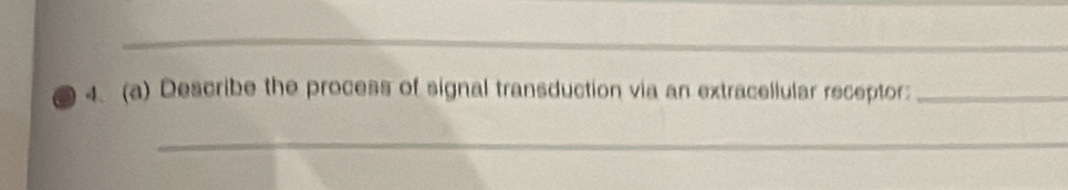 Describe the process of signal transduction via an extracellular receptor:_ 
_