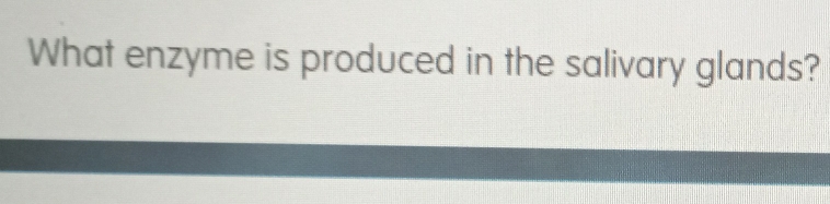 What enzyme is produced in the salivary glands?