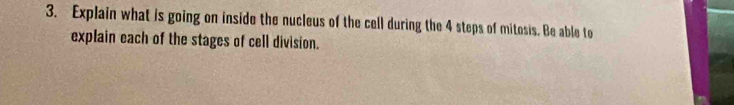 Explain what is going on inside the nucleus of the cell during the 4 steps of mitosis. Be able to 
explain each of the stages of cell division.