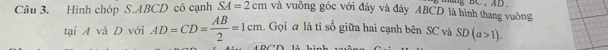 Hình chóp S. ABCD có cạnh SA=2cm và vuông gốc với đây và đây ABCD là hình thang vuông 
tại A và D với AD=CD= AB/2 =1cm. Gọi a là tỉ số giữa hai cạnh bên SC và SD(a>1).