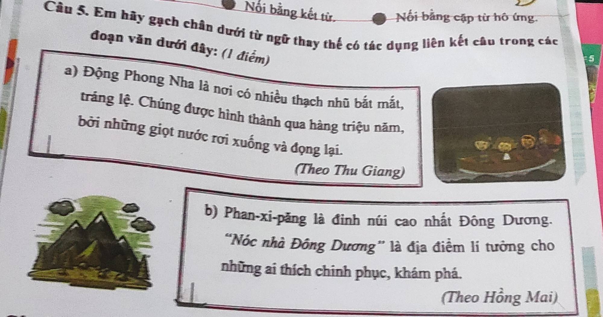 Nổi bằng kết từ. 
Nối bằng cập từ hô ứng. 
Câu 5. Em hãy gạch chân dưới từ ngữ thay thế có tác dụng liên kết câu trong các 
đoạn văn dưới đây: (1 điểm) 
5 
a) Động Phong Nha là nơi có nhiều thạch nhũ bắt mắt, 
tráng lệ. Chúng được hình thành qua hàng triệu năm, 
bởi những giọt nước rơi xuống và đọng lại. 
(Theo Thu Giang) 
b) Phan-xi-păng là đinh núi cao nhất Đông Dương. 
“Nóc nhà Đông Dương” là địa điểm lí tưởng cho 
những ai thích chinh phục, khám phá. 
(Theo Hồng Mai)