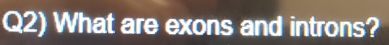 Q2) What are exons and introns?