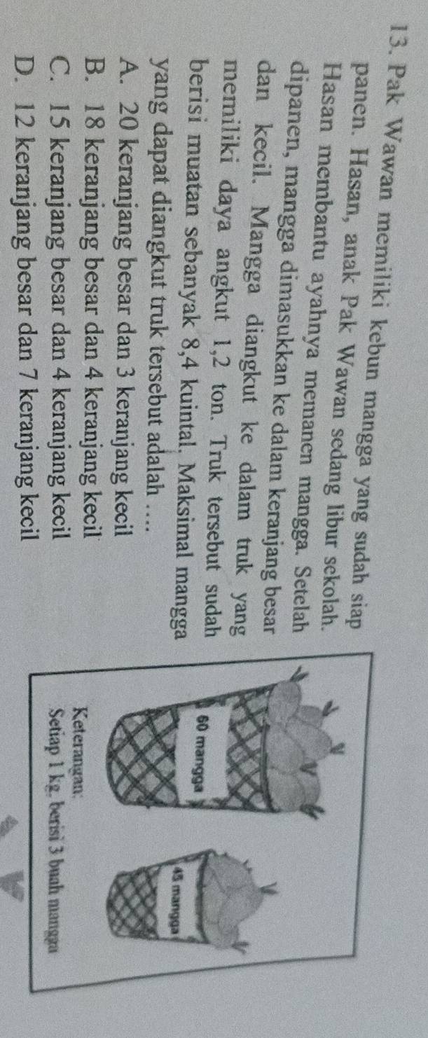Pak Wawan memiliki kebun mangga yang sudah siap
panen. Hasan, anak Pak Wawan sedang libur sekolah.
Hasan membantu ayahnya memanen mangga. Setelah
dipanen, mangga dimasukkan ke dalam keranjang besar
dan kecil. Mangga diangkut ke dalam truk yang
memiliki daya angkut 1, 2 ton. Truk tersebut sudah
berisi muatan sebanyak 8, 4 kuintal. Maksimal mangga
yang dapat diangkut truk tersebut adalah ....
A. 20 keranjang besar dan 3 keranjang kecil
B. 18 keranjang besar dan 4 keranjang kecil
C. 15 keranjang besar dan 4 keranjang kecil
D. 12 keranjang besar dan 7 keranjang kecil