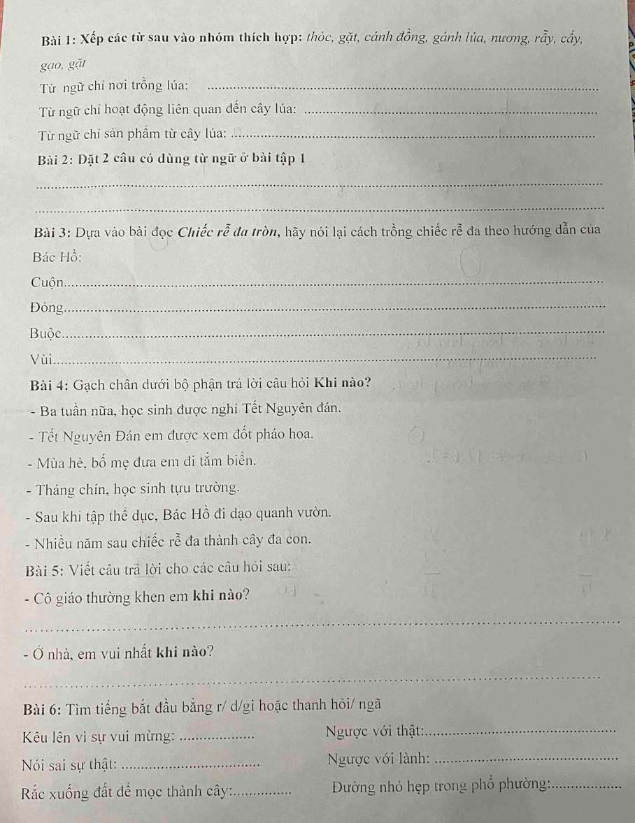Xếp các từ sau vào nhóm thích hợp: thóc, gặt, cánh đồng, gánh lúa, nương, rẫy, cấy, 
gạo, gặt 
Từ ngữ chỉ nơi trồng lúa:_ 
Từ ngữ chỉ hoạt động liên quan đến cây lúa:_ 
Từ ngữ chỉ sản phẩm từ cây lúa:_ 
Bài 2: Đặt 2 câu có dùng từ ngữ ở bài tập 1 
_ 
_ 
Bài 3: Dựa vào bài đọc Chiếc rễ đa tròn, hãy nói lại cách trồng chiếc rễ đa theo hướng dẫn của 
Bác Hồ: 
Cuộn 
_ 
Đóng 
_ 
Buộc 
_ 
Vùi_ 
Bài 4: Gạch chân dưới bộ phận trả lời câu hỏi Khi nào? 
- Ba tuần nữa, học sinh được nghỉ Tết Nguyên đán. 
- Tết Nguyên Đán em được xem đốt pháo hoa. 
- Mùa hè, bố mẹ đưa em đi tắm biển. 
- Tháng chín, học sinh tựu trường. 
- Sau khi tập thể dục, Bác Hồ đi dạo quanh vườn. 
- Nhiều năm sau chiếc rễ đa thành cây đa con. 
Bài 5: Viết câu trả lời cho các câu hỏi sau: 
- Cô giáo thường khen em khi nào? 
_ 
. - Ở nhà, em vụi nhất khi nào? 
_ 
Bài 6: Tìm tiếng bắt đầu bằng r/ d/gi hoặc thanh hỏi/ ngã 
Kêu lên vì sự vui mừng: _ Ngược với thật:_ 
Nói sai sự thật: _ Ngược với lành:_ 
Rắc xuống đất để mọc thành cây:_ Đường nhỏ hẹp trong phố phường:_