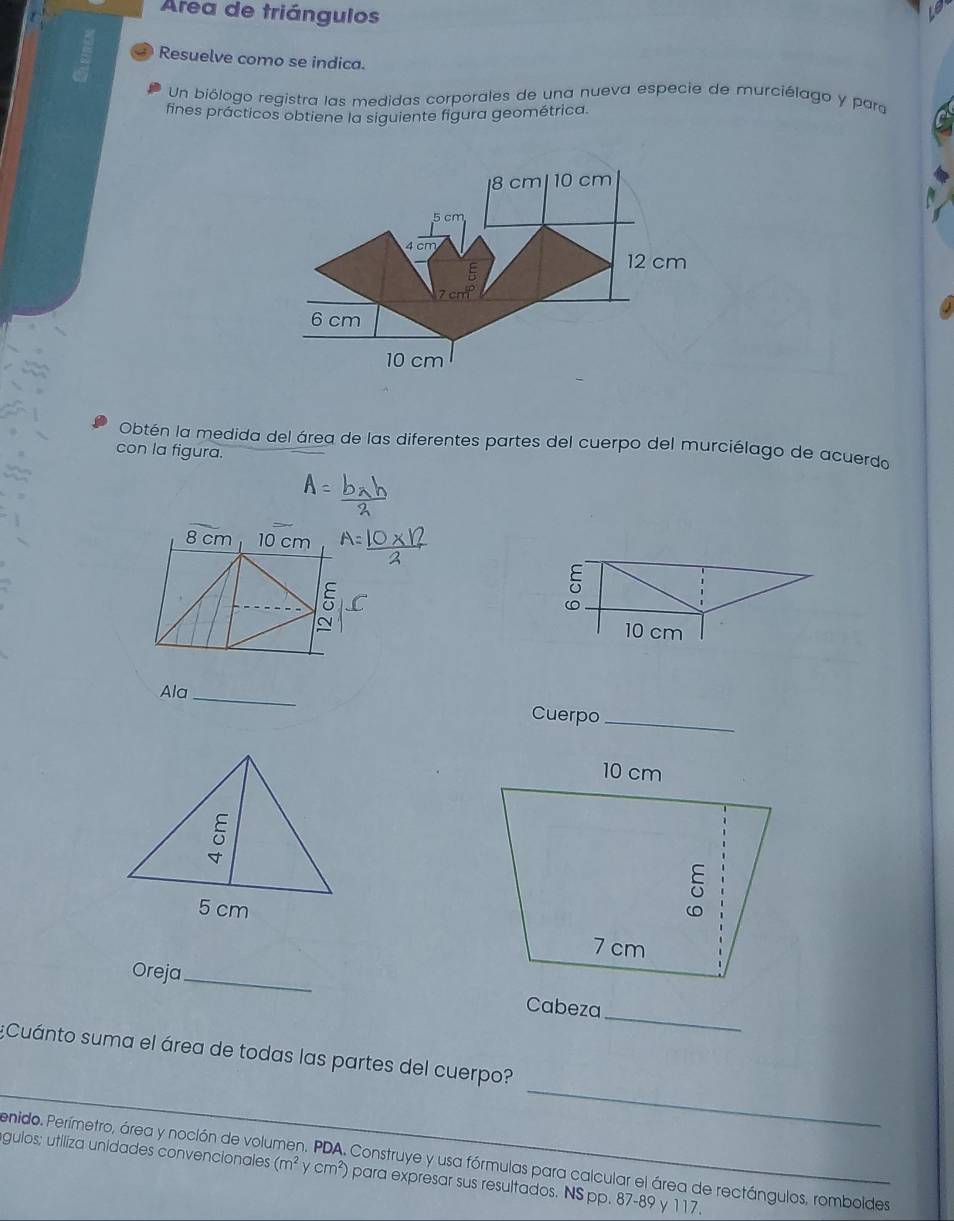 Área de triángulos
Resuelve como se indica.
Un biólogo registra las medidas corporales de una nueva especie de murciélago y para
fines prácticos obtiene la siguiente figura geométrica.
Obtén la medida del área de las diferentes partes del cuerpo del murciélago de acuerdo
con la figura.
8 cm 10 cm
5
C
~ 10 cm
Ala_
Cuerpo_
_
Oreja_ Cabeza
_
_
¿Cuánto suma el área de todas las partes del cuerpo?
enido. Perímetro, área y noción de volu Construye y usa fórmulas para calcular el área de rectángulos, romboldes
Águlos; utiliza unidades convencionales (m^2ycm^2) para expresar sus resultados. NS pp. 87-89 y 117.