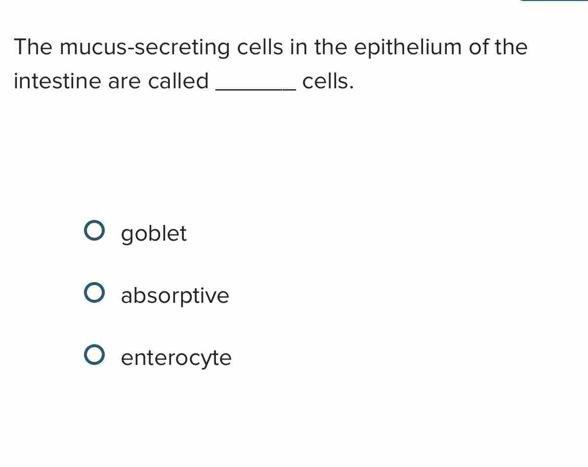 The mucus-secreting cells in the epithelium of the
intestine are called _cells.
goblet
absorptive
enterocyte