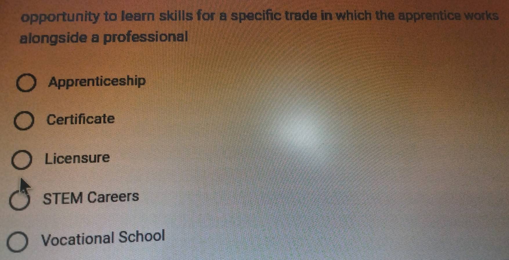 opportunity to Jearn skills for a specific trade in which the apprentice works
alongside a professional
Apprenticeship
Certificate
Licensure
STEM Careers
Vocational School