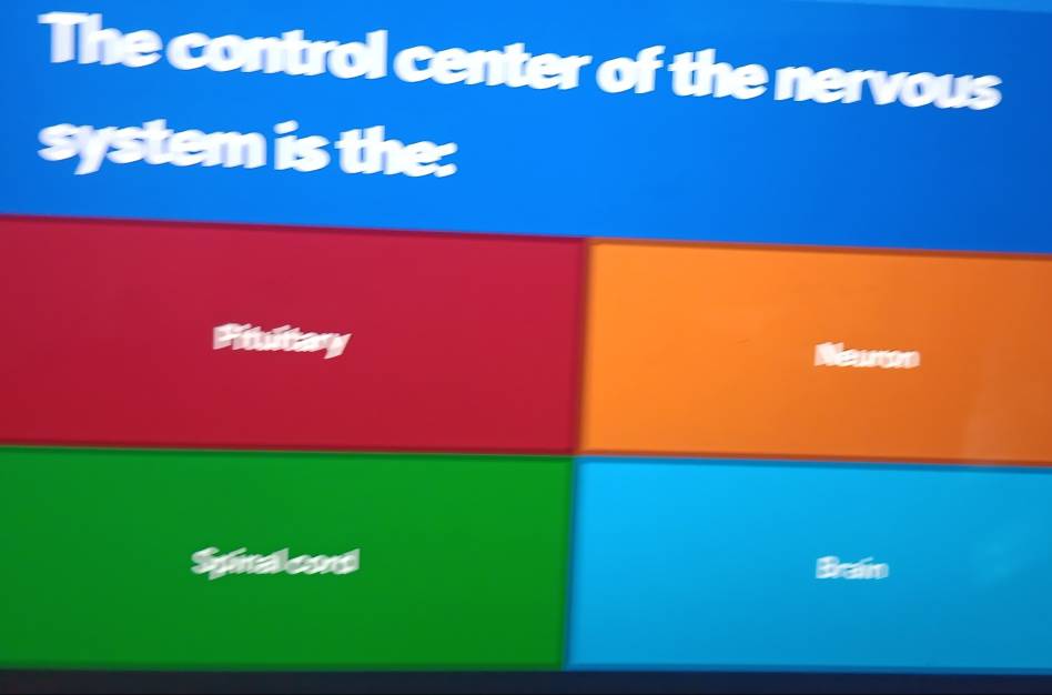 The control center of the nervous 
system is the: 
Fitultay 
Neuton 
Spid ad 
Ben