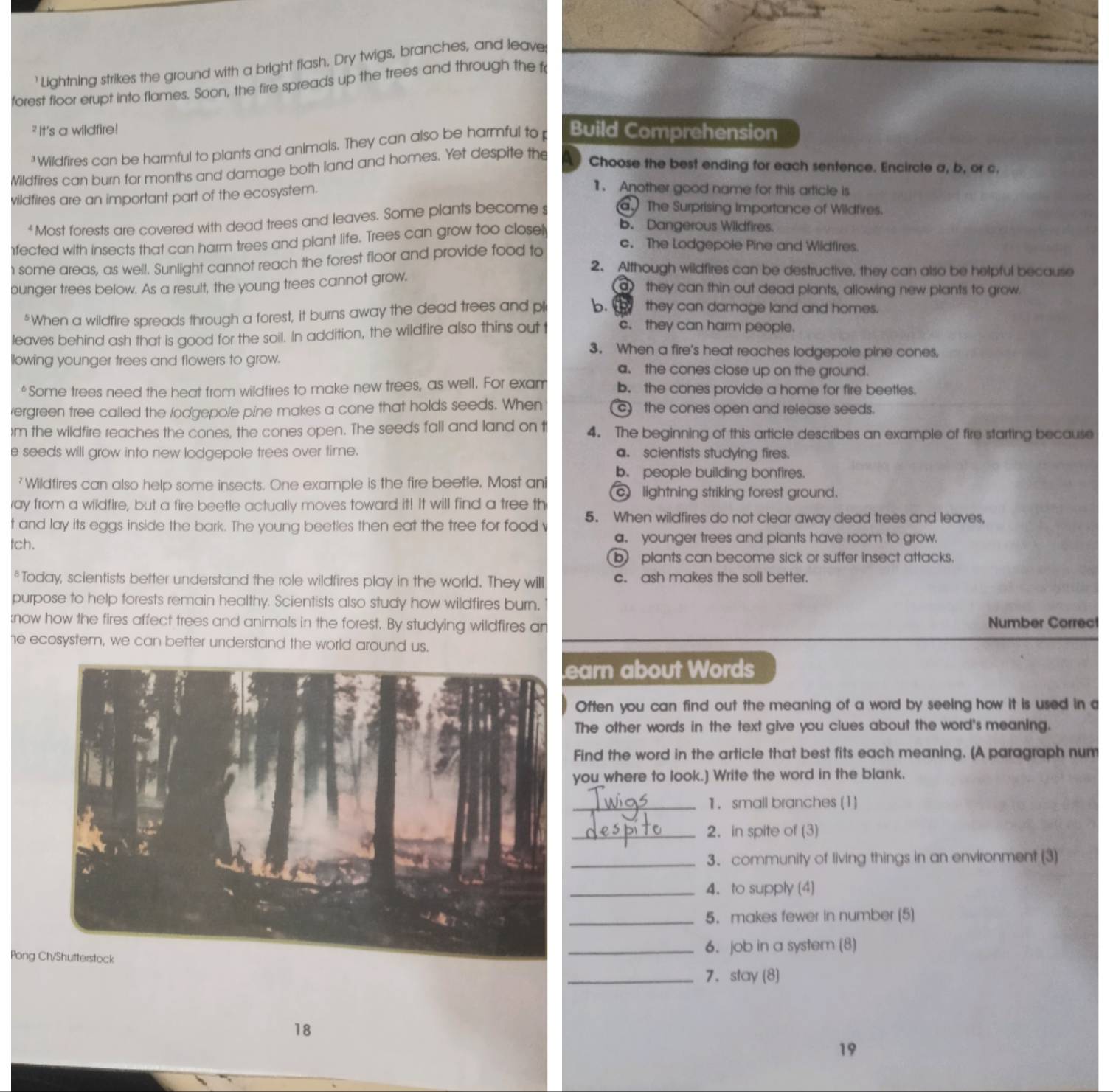 ' Lightning strikes the ground with a bright flash, Dry twigs, branches, and leave
forest floor erupt into flames. Soon, the fire spreads up the trees and through the t
² It's a wildfire! Build Comprehension
²Wildfires can be harmful to plants and animals. They can also be harmful to p
Mildfires can burn for months and damage both land and homes. Yet despite the
Choose the best ending for each sentence. Encircle a, b, or c.
wildfires are an important part of the ecosystem.
1. Another good name for this article is
*Most forests are covered with dead trees and leaves. Some plants become s a The Surprising Importance of Wildfires.
fected with insects that can harm trees and plant life. Trees can grow too closel b. Dangerous Wildfires.
some areas, as well. Sunlight cannot reach the forest floor and provide food to
c. The Lodgepole Pine and Wildfires.
2. Although wildfires can be destructive, they can also be helpful because
bunger trees below. As a result, the young trees cannot grow. a) they can thin out dead plants, allowing new plants to grow.
*When a wildfire spreads through a forest, it burns away the dead trees and pl b.  they can damage land and homes.
leaves behind ash that is good for the soil. In addition, the wildfire also thins out t c. they can harm people.
3. When a fire's heat reaches lodgepole pine cones.
llowing younger trees and flowers to grow. a. the cones close up on the ground.
*Some trees need the heat from wildfires to make new trees, as well. For exam b. the cones provide a home for fire beettes.
/ergreen tree called the lodgepole pine makes a cone that holds seeds. When c the cones open and release seeds.
)m the wildfire reaches the cones, the cones open. The seeds fall and land on t 4. The beginning of this article describes an example of fire starting because
e seeds will grow into new lodgepole trees over time. a. scientists studying fires.
b. people building bonfires.
'Wildfires can also help some insects. One example is the fire beetle, Most ani
ay from a wildfire, but a fire beetle actually moves toward it! It will find a tree th  lightning striking forest ground.
5. When wildfires do not clear away dead trees and leaves,
t and lay its eggs inside the bark. The young beetles then eat the tree for food v
tch. a. younger trees and plants have room to grow.
b plants can become sick or suffer insect attacks.
*Today, scientists better understand the role wildfires play in the world. They will c. ash makes the soll better.
purpose to help forests remain healthy. Scientists also study how wildfires burn,
:now how the fires affect trees and animals in the forest. By studying wildfires an Number Correct
he ecosystem, we can better understand the world around us.
earn about Words
Often you can find out the meaning of a word by seeing how it is used in a
The other words in the text give you clues about the word's meaning.
Find the word in the article that best fits each meaning. (A paragraph num
you where to look.] Write the word in the blank.
_1. small branches (1)
_2. in spite of (3)
_3. community of living things in an environment (3)
_4. to supply (4)
_5. makes fewer in number (5)
Pong 6. job in a system (8)
_7. stay (8)
18
19