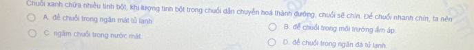 Chuối xanh chứa nhiều tinh bột, khi lượng tinh bột trong chuối dẫn chuyển hoá thành đưỡng, chuối sẽ chín. Để chuối nhanh chín, ta nên
A. đễ chuối trong ngăn mát tủ lanh B. để chuối trong môi trường ấm áp
C. ngâm chuối trong nước mát D. để chuối trong ngăn đá tủ lạnh