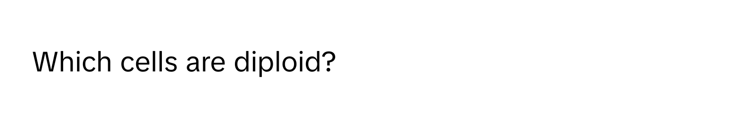 Which cells are diploid?