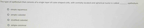 The type of epithelium that consists of a single layer of cube-shaped cells, with centrally located and spherical nuclei is called _epithelium.
simple squamous
simple cuboidal
stratified cuboidal
simple columnar