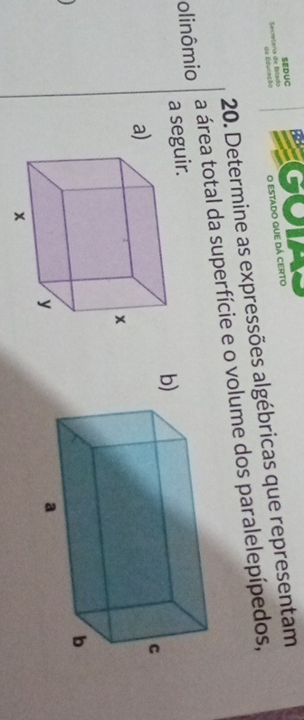 SEDUC GOIA 
Secistaría de Bitado da Educação O estado que dá certo 
20. Determine as expressões algébricas que representam 
olinômio a área total da superfície e o volume dos paralelepípedos, 
a seguir. 
b 
a
