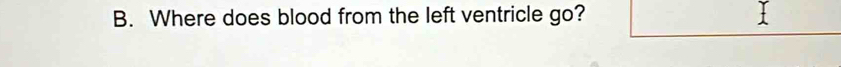 Where does blood from the left ventricle go? 1