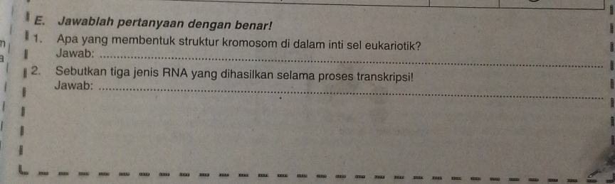 Jawabiah pertanyaan dengan benar! 
1. Apa yang membentuk struktur kromosom di dalam inti sel eukariotik? 
Jawab:_ 
2. Sebutkan tiga jenis RNA yang dihasilkan selama proses transkripsi! 
Jawab:_