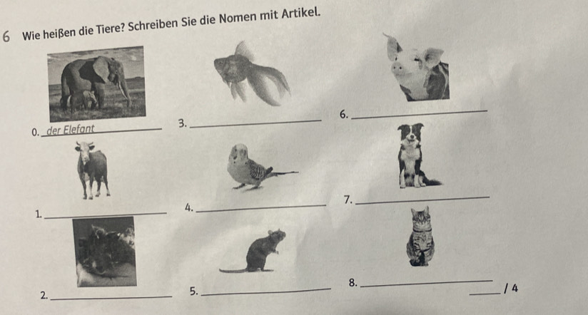 Wie heißen die Tiere? Schreiben Sie die Nomen mit Artikel. 
6. 
_ 
3. 
0. der Élefan 
_ 
_ 
7._ 
4._ 
1. 
8. 
_ 
2._ 
5._ _1 4