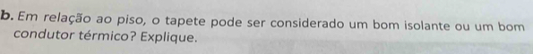 Em relação ao piso, o tapete pode ser considerado um bom isolante ou um bom 
condutor térmico? Explique.