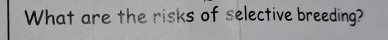 What are the risks of selective breeding?