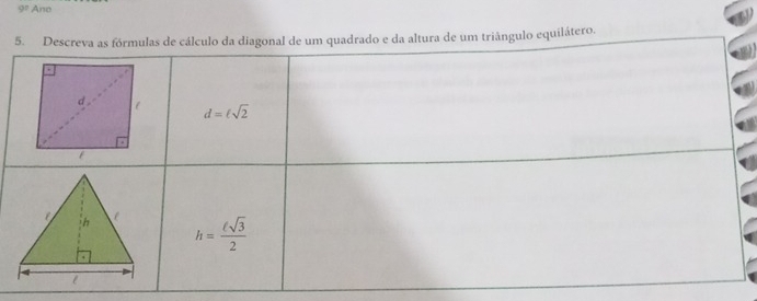 9° Ano
equilátero.