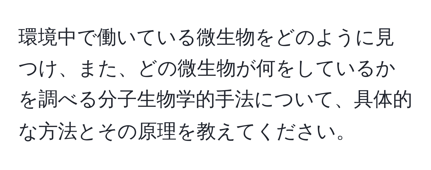 環境中で働いている微生物をどのように見つけ、また、どの微生物が何をしているかを調べる分子生物学的手法について、具体的な方法とその原理を教えてください。