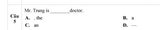 Mr. Trung is _doctor.
Câu A. . the B. a
5
C. an D. —