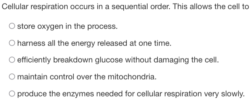 Cellular respiration occurs in a sequential order. This allows the cell to
store oxygen in the process.
harness all the energy released at one time.
efficiently breakdown glucose without damaging the cell.
maintain control over the mitochondria.
produce the enzymes needed for cellular respiration very slowly.