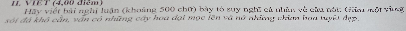 VIET (4,00 điêm) 
Hãy viết bài nghị luận (khoảng 500 chữ) bày tỏ suy nghĩ cá nhân về câu nói: Giữa một vùng 
sỏi đá khô cần, vẫn có những cây hoa dại mọc lên và nở những chùm hoa tuyệt đẹp.