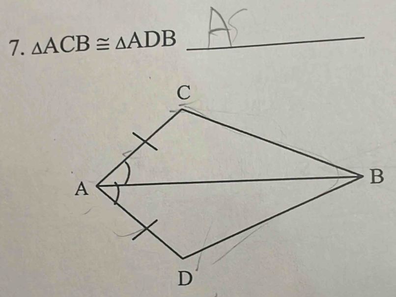 △ ACB≌ △ ADB
_