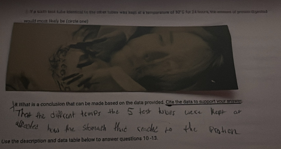 If a sath teat tube idensical to the other tubes was kept at a temperaters of 30°C for 24 hours, the ameen of prown digested 
would most likely 
9 What is a conclusion that can be made based on the data provided. Cite the data to support your answer 
Use the description and data table below to answer questions 10 -13.