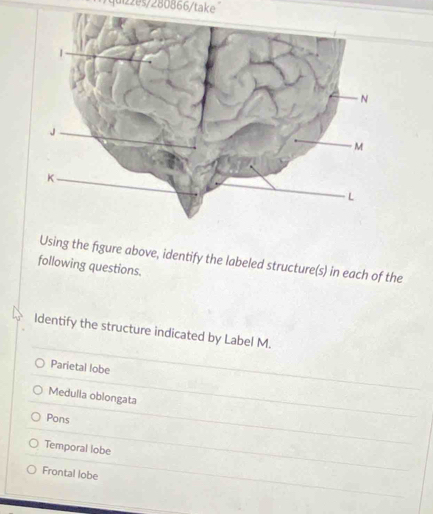 1/quiz2es/280866/take
Using the figure above, identify the labeled structure(s) in each of the
following questions.
Identify the structure indicated by Label M.
Parietal lobe
Medulla oblongata
Pons
Temporal lobe
Frontal lobe