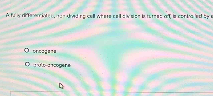 A fully differentiated, non-dividing cell where cell division is turned off, is controlled by a
oncogene
proto-oncogene