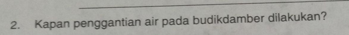 Kapan penggantian air pada budikdamber dilakukan?