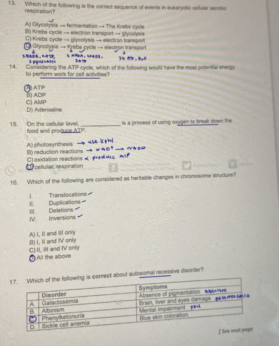 Which of the following is the correct sequence of events in eukaryotic cellular aerobic
respiration?
A) Glycolysis → fermentation → The Krebs cycle
B) Krebs cycle → electron transport → glycolysis
C) Krebs cycle → glycolysis → electron transport
Glycolysis → Krebs cycle → electron transport
14. Considering the ATP cycle, which of the following would have the most potential energy
to perform work for cell activities?
A) ATP
B) ADP
C) AMP
D) Adenosine
15. On the cellular level, _is a process of using oxygen to break down the
food and produce AT
A) photosynthesis
B) reduction reactions
C) oxidation reactions 
cellular respiration
16. Which of the following are considered as heritable changes in chromosome structure?
1. Translocations
II. Duplications
III. Deletions
IV. Inversions
A) I, II and III only
B) I, II and IV only
C) II, III and IV only
All the above
ct about autosomal recessive disorder?