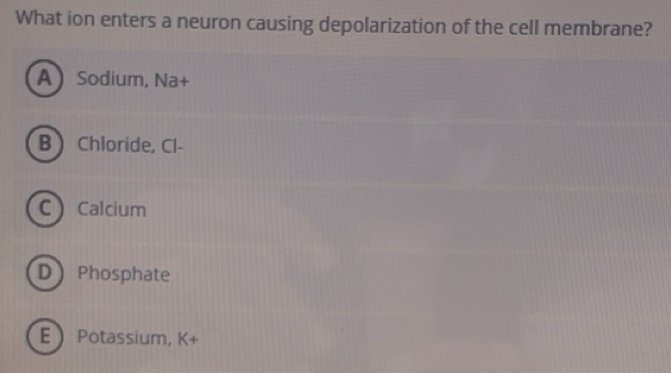 Solved: What ion enters a neuron causing depolarization of the cell ...