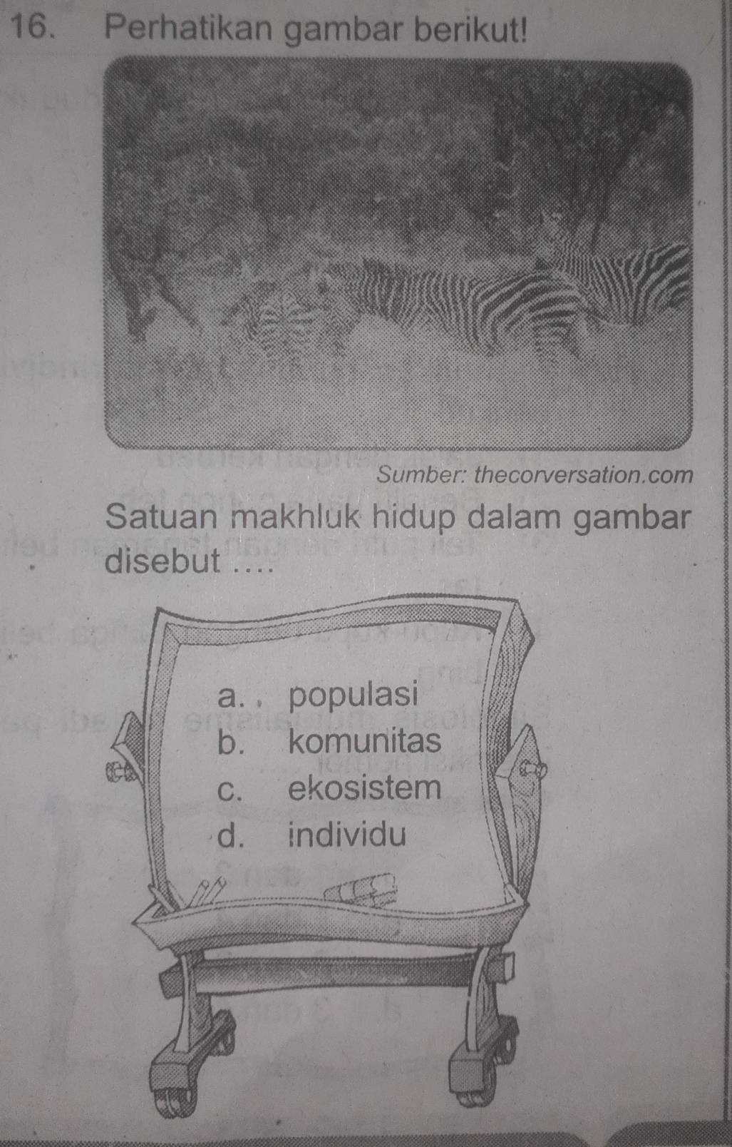 Perhatikan gambar berikut! 
Sumber: thecorversation.com 
Satuan makhluk hidup dalam gambar 
disebut ....