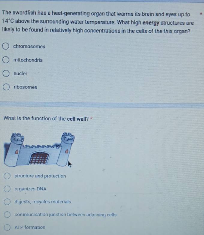 The swordfish has a heat-generating organ that warms its brain and eyes up to *
14°C above the surrounding water temperature. What high energy structures are
likely to be found in relatively high concentrations in the cells of the this organ?
chromosomes
mitochondria
nuclei
ribosomes
What is the function of the cell wall? *
structure and protection
organizes DNA
digests, recycles materials
communication junction between adjoining cells
ATP formation