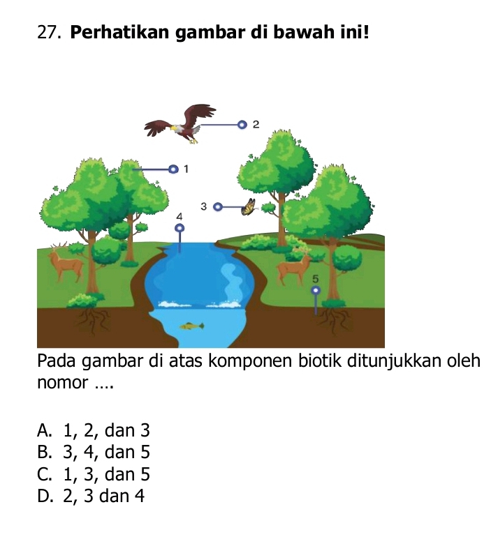 Perhatikan gambar di bawah ini!
Pada gambar di atas komponen biotik ditunjukkan oleh
nomor ....
A. 1, 2, dan 3
B. 3, 4, dan 5
C. 1, 3, dan 5
D. 2, 3 dan 4