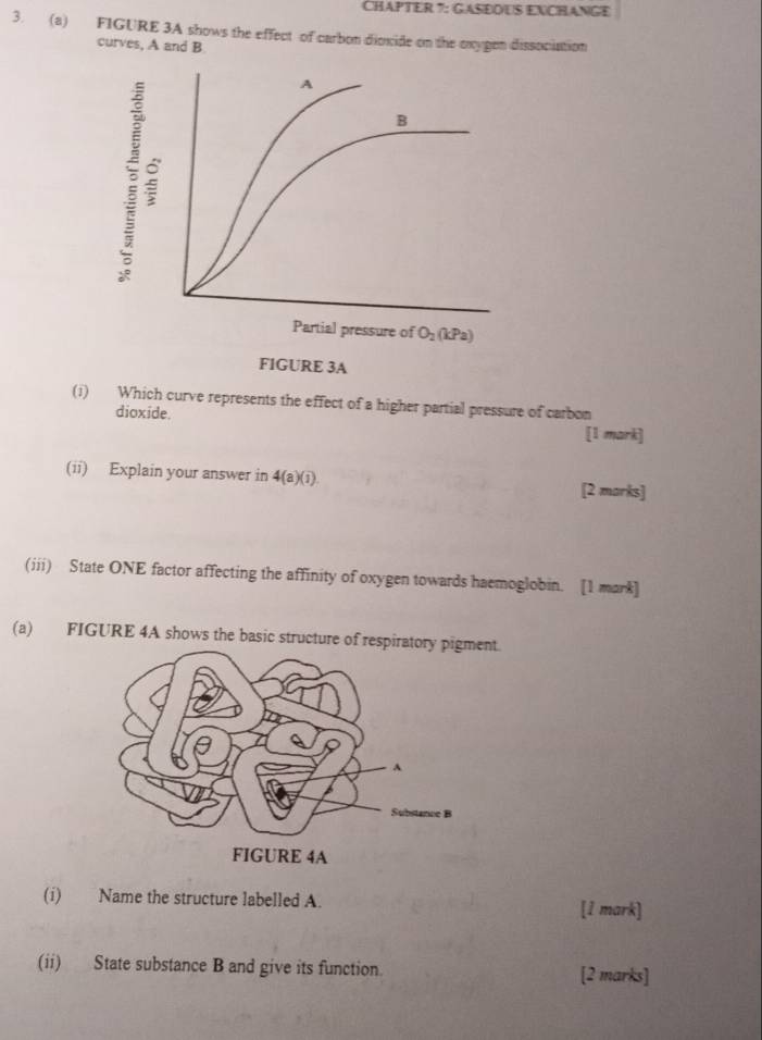 CHAPTER 7: GASEOUS ENCHANGE
3. (a) FIGURE 3A shows the effect of carbon dioxide on the exygen dissociation
curves, A and B
(i) Which curve represents the effect of a higher partial pressure of carbon
dioxide.
[1 mark]
(ii) Explain your answer in 4(a)(1) [2 marks]
(iii) State ONE factor affecting the affinity of oxygen towards haemoglobin. [1 mark]
(a) FIGURE 4A shows the basic structure of respiratory pnt.
(i) Name the structure labelled A. [1 mark]
(ii) State substance B and give its function. [2 marks]